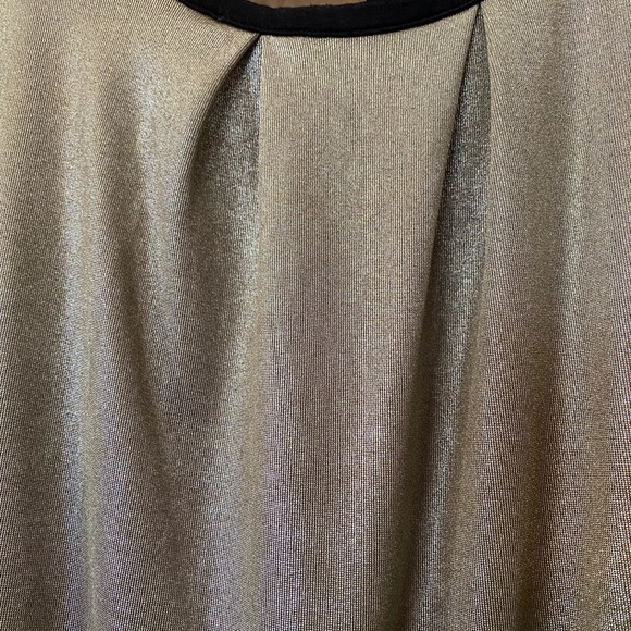 Shimmer Shell - Picture 2 of 3